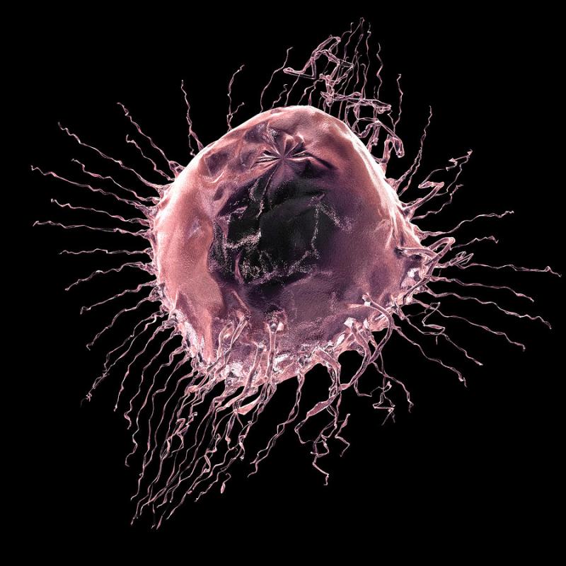 Noninvasive Cancer Diagnostics Market Set to Soar to $255B by 2033: Liquid Biopsies and AI-Driven Precision Lead Growth
