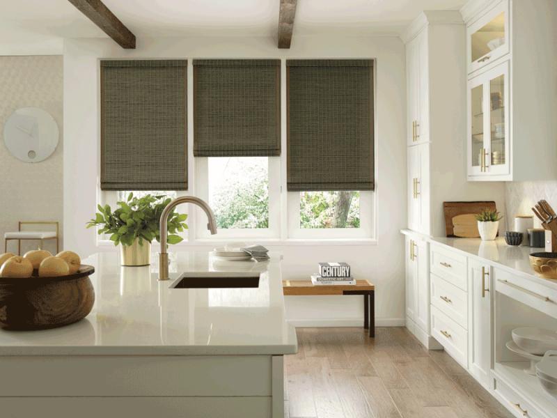 Domestic Window Coverings Market Size Opportunities and Challenges for the Future