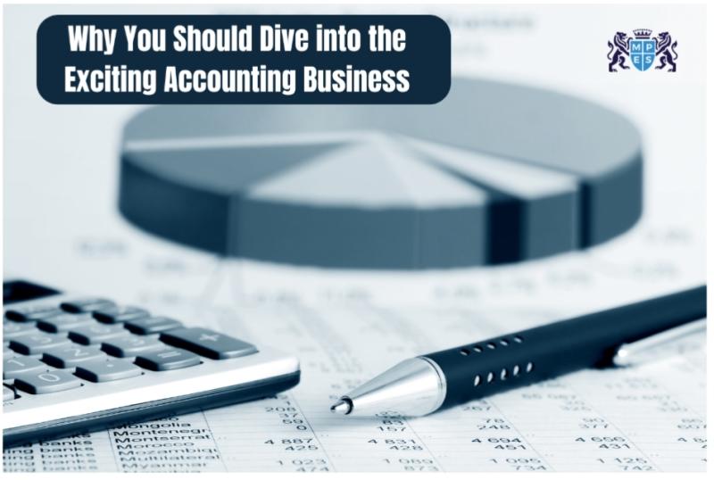 Why You Should Dive into the Exciting Accounting Business