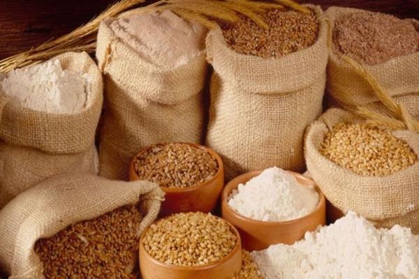 Feed Additives Market Projected to Surge by 2033 | Evonik Industries AG, DSM Nutritional Products, Nutreco N.V., Chr. Hansen Holding A/S