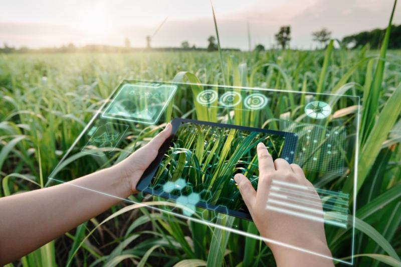 Digital Agriculture Market Set to Witness Significant Growth by 2033 | Topcon Corporation, Raven Industries, Bayer CropScience