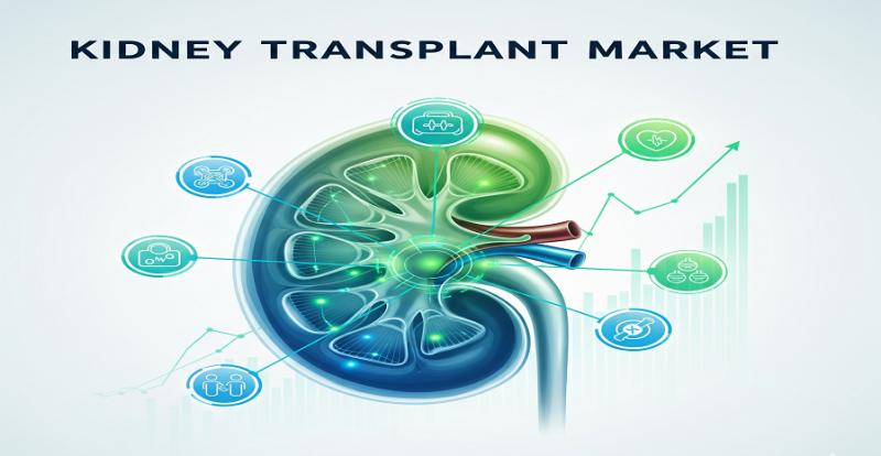 Kidney Transplant Market Market Hits New High | Major Giants Baxter, Medtronic, Fresenius Medical Care, Abbott Laboratories