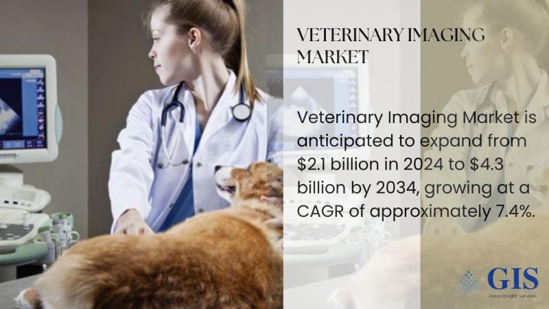 Veterinary Imaging Market Is Anticipated To Expand From $2.1 Billion In 2024 To $4.3 Billion By 2034