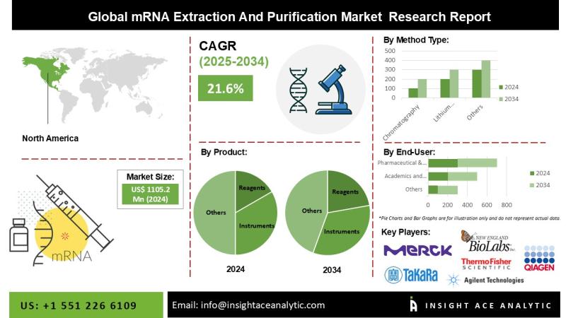 mRNA Extraction and Purification Market Demand and Growth Opportunities Detailed Analysis Report 2025-2034