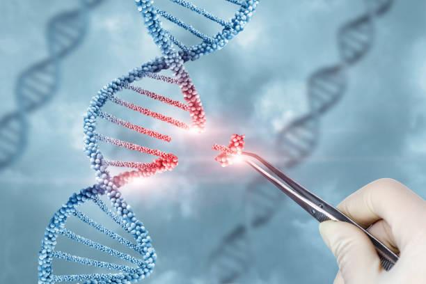 Viral Vector and Plasmid DNA Manufacturing Market Size to Hit USD 10.61 Billion with a 14.2% CAGR by 2031, Report by DataM Intelligence