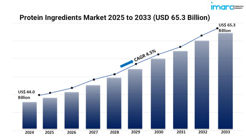 Protein Ingredients Market Trends in Food & Beverage, Personal Care & Cosmetics, Dietary Supplements Manufacturing