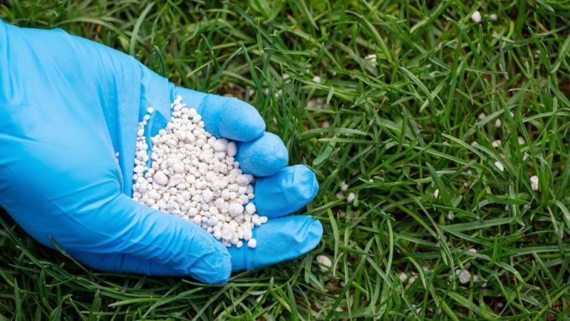 Silicon Fertilizer Market Outlook: Crop Yield Enhancement & Sustainable Agriculture | Top Most Keyplayers - Deepak Fertilisers and Petrochemicals Corporation Limited, Denka Company Limited, Edw. C. Levy Co.