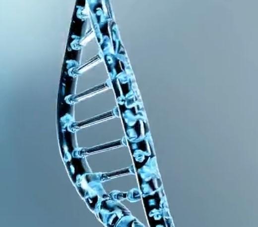 Viral Vectors and Plasmid DNA Manufacturing Market Insights, Size, Status and Forecast to 2033