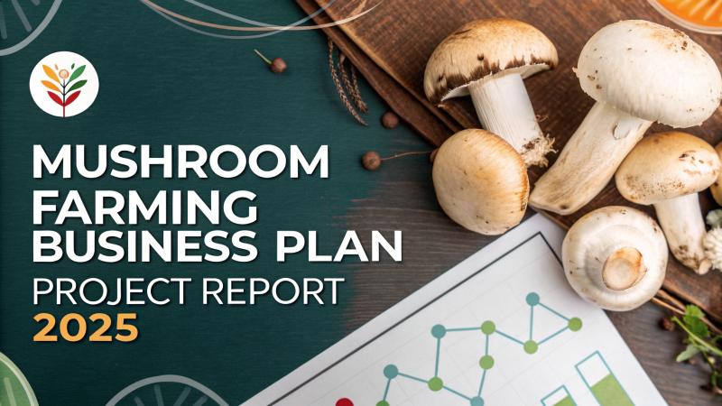 Mushroom Farming Business Plan Startup Costs and Profit Margins in 2025 Explained