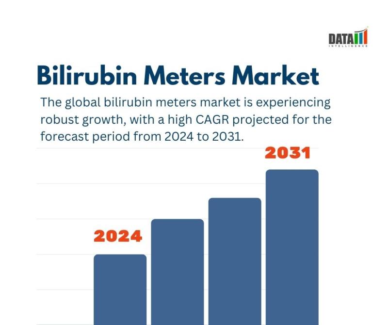 Bilirubin Meters Market || 2024 - 2031