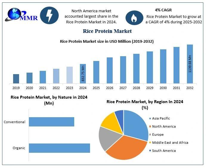 Rice Protein Market Global Industry Analysis and Forecast (2025-2032)