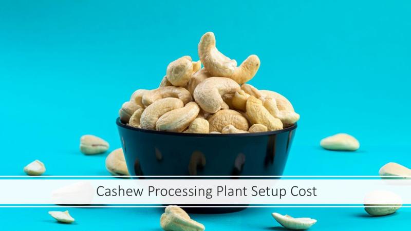 Cashew Processing Plant Setup 2025: Project Report, Business Plan and Cost Involved
