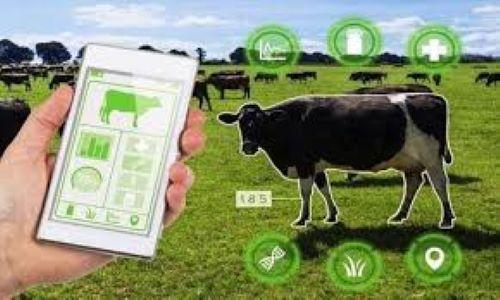 Livestock Monitoring Market to See Revolutionary Growth: GEA Group, Merck Animal Health