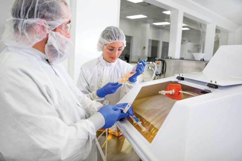 Global Bioprocess Validation Market Set for Rapid Growth: Innovations and Opportunities Transforming Biopharmaceutical Industry 2025 | DataM Intelligence