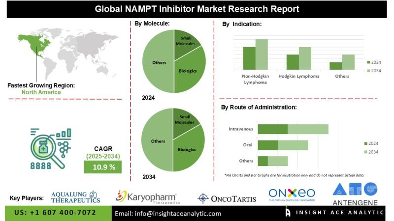NAMPT Inhibitor Market Report on the Untapped Growth Opportunities in the Industry