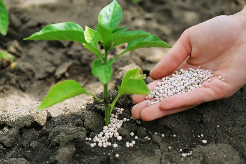 Indian Fertilizer Market Size, Share, Industry Outlook, Demand and Forecast Report 2025-2033