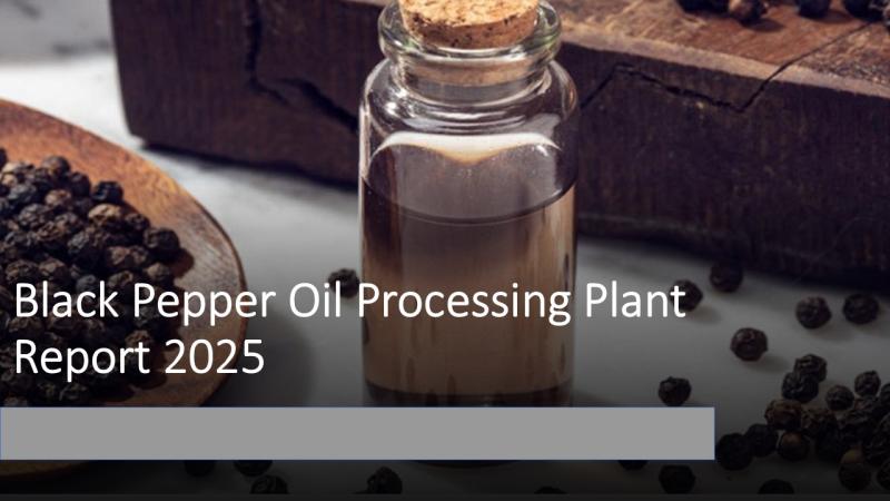 Black Pepper Oil Processing Plant Report 2025 | Setup Details, Machinery Requirements and Cost Analysis
