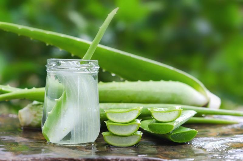 Aloe Vera-Based Drinks Market Seeking Excellent Growth | Simplee Aloe, Savia, Forever Living Products