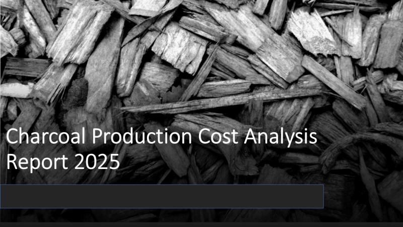 Charcoal Production Plant Feasibility Report 2025: CapEx/OpEx Analysis with Profitability Forecast