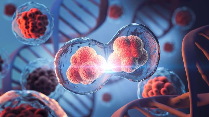 Genomics in Cancer Care Market Set for Breakthrough Growth with Precision Medicine Advancements 2025 | DataM Intelligence