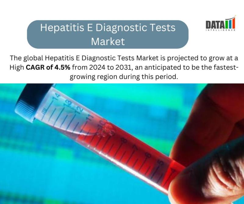 Hepatitis E Diagnostic Tests Market || 2024 -2031