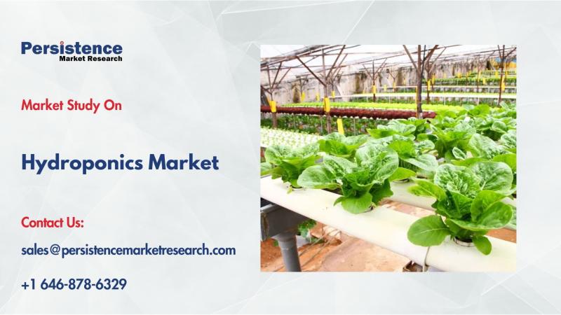 Hydroponics Market to Reach US$ 36.7 Bn by 2032 at 13.2% CAGR, driven by tech and sustainable farming demand