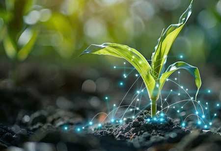 Agricultural Biologicals Market Size Analysis, Competitive Insights, Leading Players and Growth Opportunities by 2033