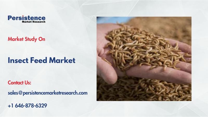 global insect feed market to reach US$ 7.4 Bn by 2032, driven by sustainable protein demand