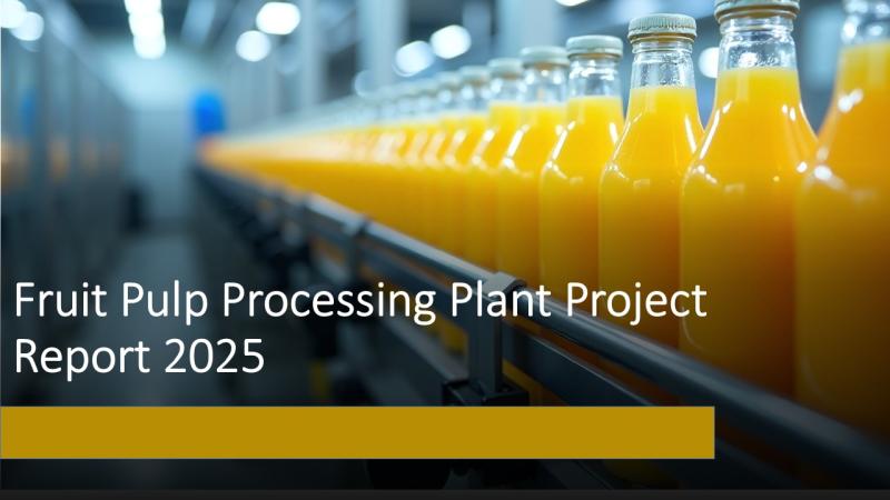 Report on Fruit Pulp Processing Plant Setup with Cost Analysis and Requirements