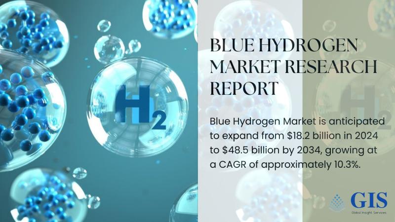 Blue Hydrogen Market Anticipates Strong Growth Fueled by Carbon Capture Innovations and Clean Energy Demand | Overall Study Report