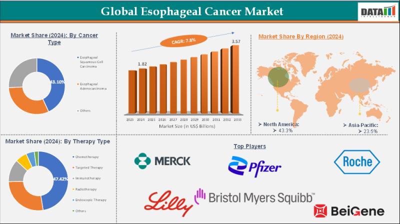 Esophageal Cancer Market Set for Transformative Growth with Advancements in Diagnostics & Therapies 2025 | Emerging key players - Amgen, Jazz Pharmaceuticals, Eisai Global.