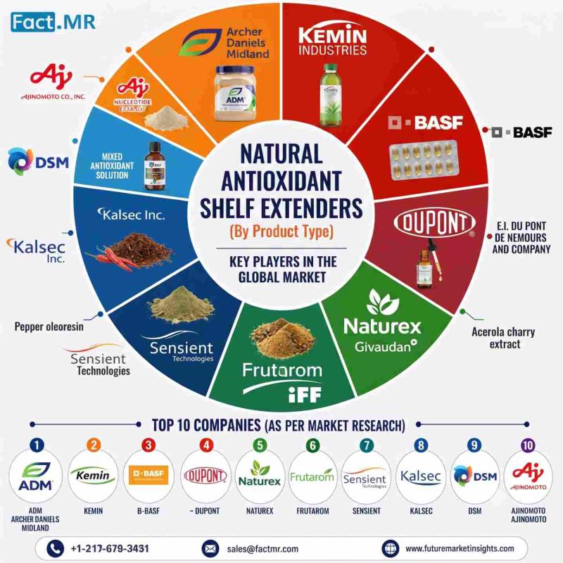 Natural Antioxidant Shelf Extenders Market Gains Momentum as