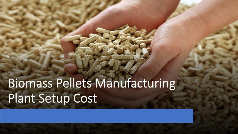 Biomass Pellets Manufacturing Plant Setup Cost 2025: Feasibility Study and Profit Analysis