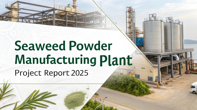 Setting up a Seaweed Powder Manufacturing Plant 2025: Machinery, Investment Opportunities & Project Economics