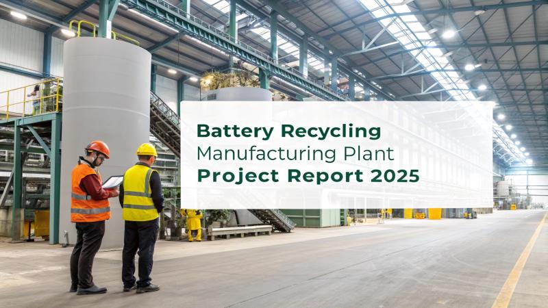 Battery Recycling Plant Report 2025: Comprehensive Business Plan, Cost and Revenue