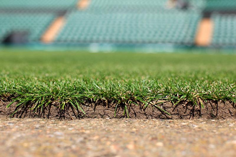 Sports Turf Seed Market Grows Robustly with Sustainable Innovation in U.S. & Japan | Ampac Seed Company, BrettYoung, Columbia Seeds, DLF-Pickseed USA, Graham Turf Seeds Ltd
