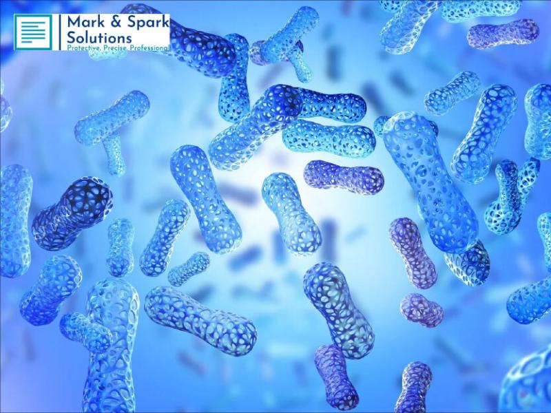 Singapore Probiotics Market Set to Nearly Double by 2030, Fueled by Innovation and Rising Health Consciousness