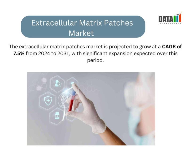 Extracellular Matrix Patches Market || 2024 -2031