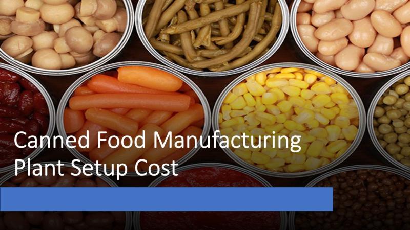 Canned Food Manufacturing Plant Cost 2025: Setup Details, Capital Investments, and Business Plan