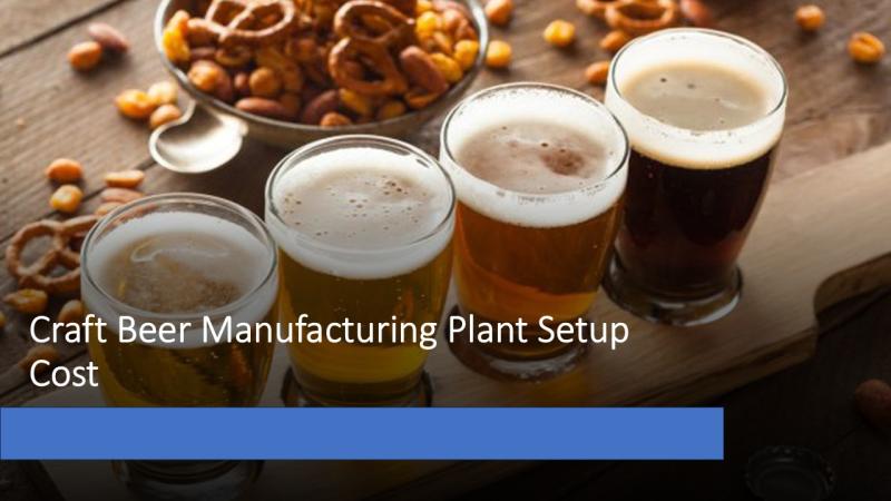 Craft Beer Manufacturing Plant Setup 2025: Market Trends, Investment Cost, and Profit Projections