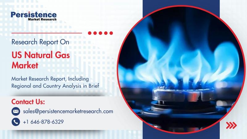 US Natural Gas Market to Reach US$569.3 Mn by 2031 Fueled by Stable Demand and Infrastructure Expansion