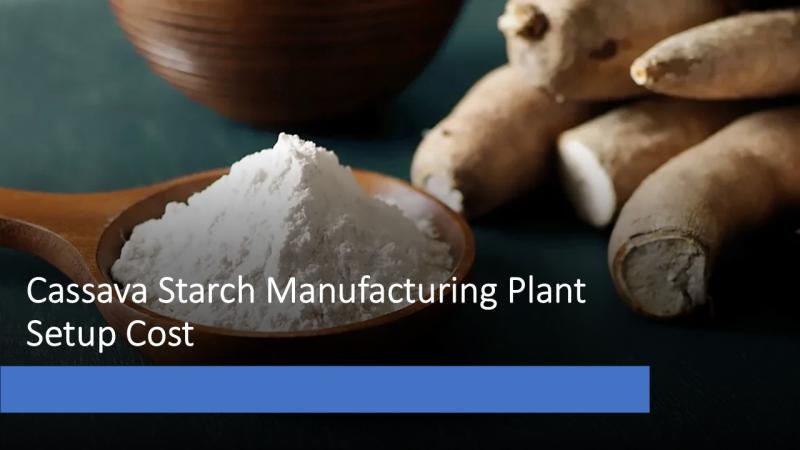 Cassava Starch Manufacturing Plant Setup Cost 2025: Business Plan, Requirements and Revenue