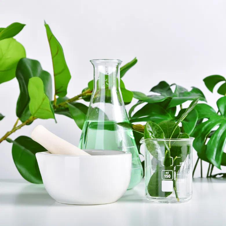 Green Polyols Market to Expand at 9.5% CAGR, Driven by Eco-Friendly Polyurethane Demand in Construction & Automotive | BASF SE, Bayer AG, Stepan Company, Cargill, Incorporated