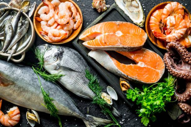 India Seafood Market Outlook 2025-2033: Key Trends, Size, Share and Growth Insights
