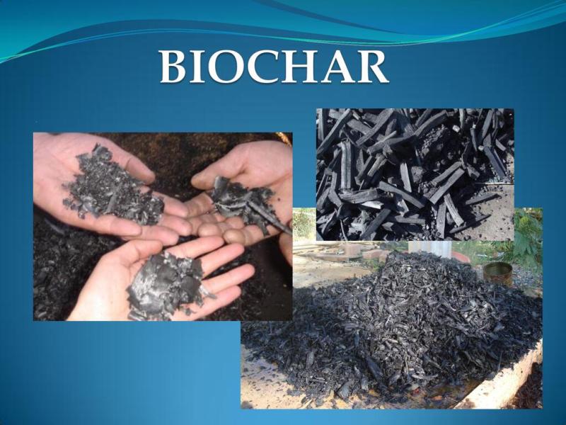Biochar Market Expands, Driven by Sustainable Farming Practices, Soil Quality Improvement & Waste Management | Agri-Tech Producers LLC, Biochar Products, Diacarbon Energy Inc., Cool Planet, and many others.