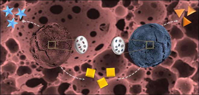 Biocatalysis and Biocatalysts Market Overview: Growth, Share, Value, Size, and Scope