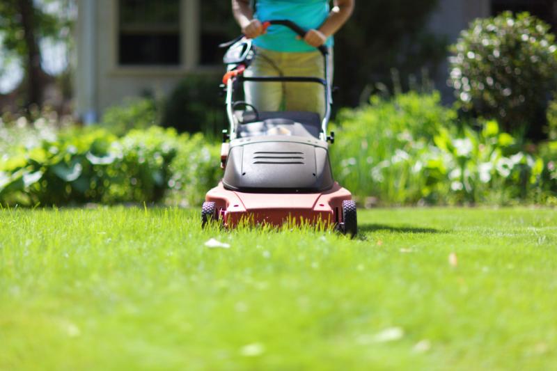 Global Powered Lawn Mowers Market Growth, Reaching USD 4.0 billion by 2035 Amidst Green Technology Revolution