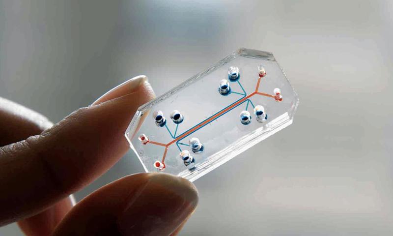 Organ-on-a-Chip Market