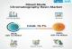 Mixed Mode Chromatography Resin Market is Projected to Reach USD 743 Million and, U.S. expected 16.9% by 2035