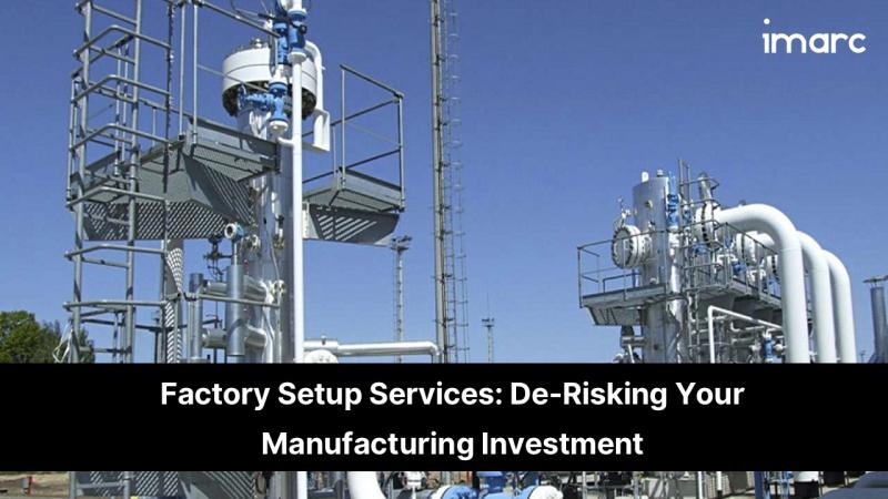 Factory Setup Services: De-Risking Your Manufacturing Investment